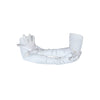 opera length Italian satin white gloveswith arms cradled