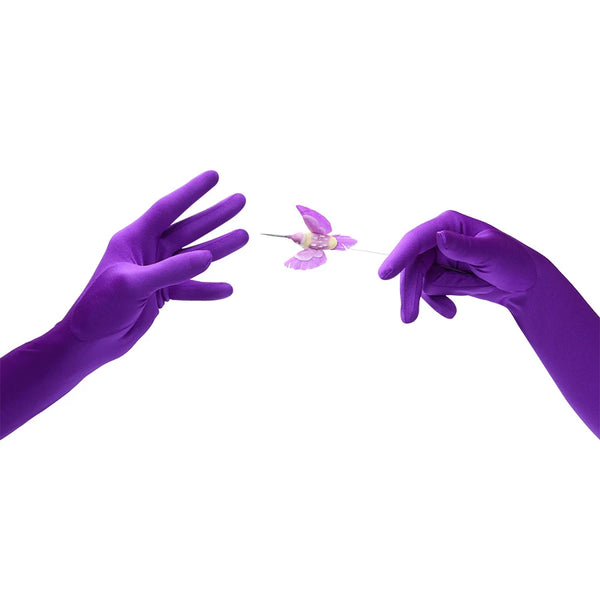 opera length purple shimmery spandex gloves reaching for a hummingbird