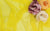 image of yellow fabric and three flowers