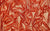 Close-up of 4-way stretch holo mini-dot spandex fabric swatch in red-gold color